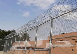 شبوك مزارع ومواقع64175971941889113