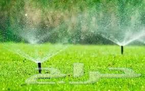 Fruit Trees64176584525313112