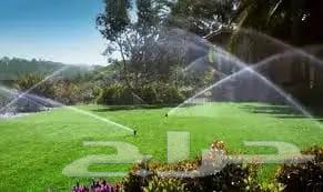 Fruit Trees64176584525313113