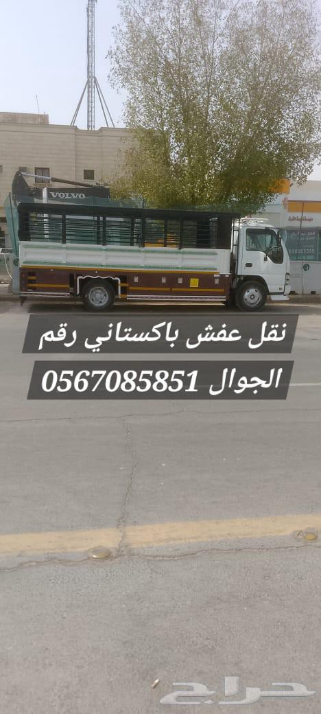 نقل عفش مع فك تركيب باكستاني64175572691970111