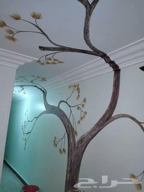 دهان مصري باقل الاسعار وتحدي64176586974081112