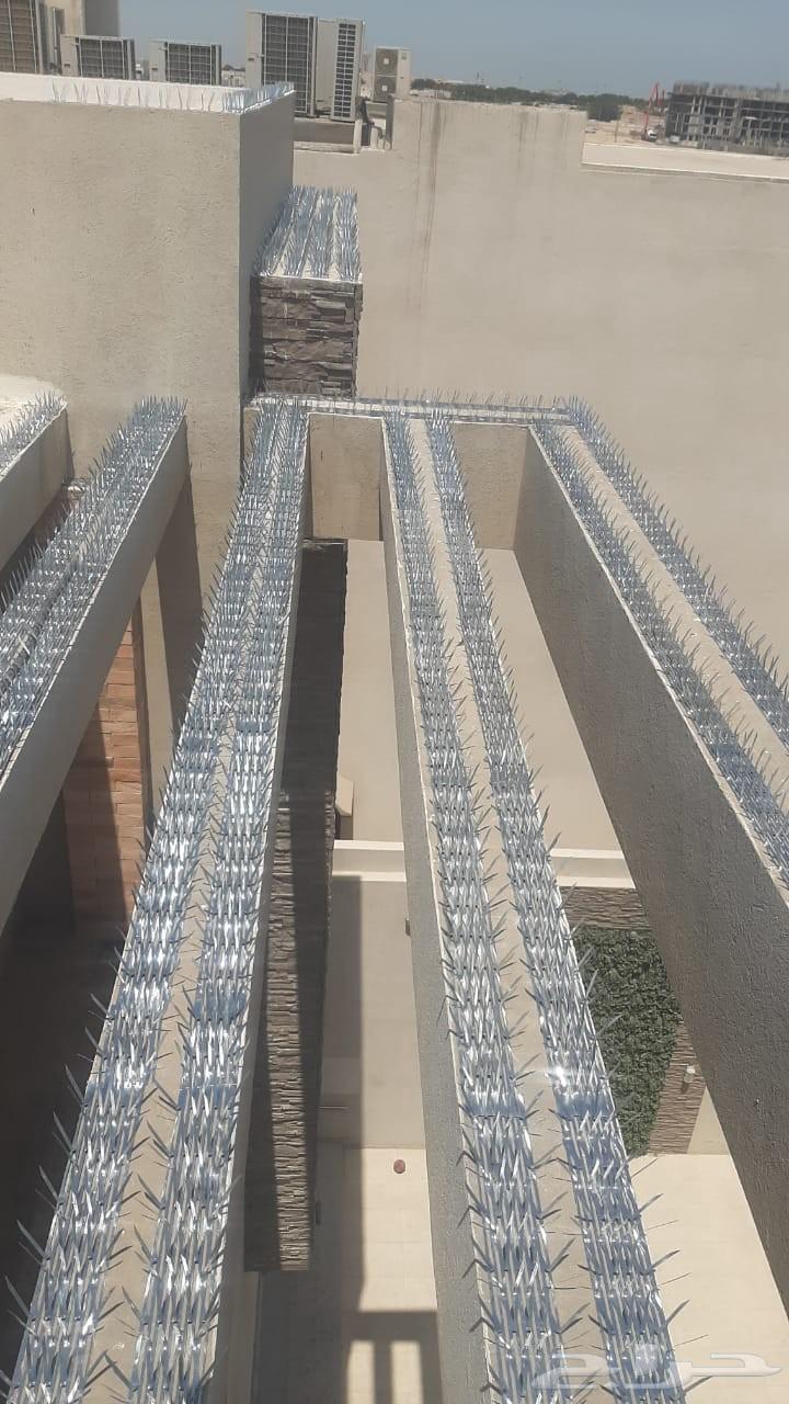 شركه تركيب اشواك طارد الحمام بالمنطقة الشرقية64175972757763110