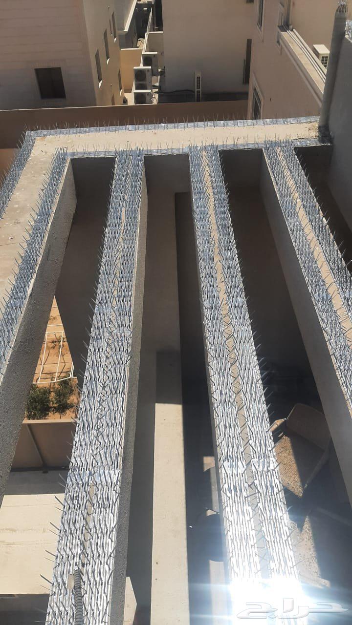 شركه تركيب اشواك طارد الحمام بالمنطقة الشرقية64175972757763112