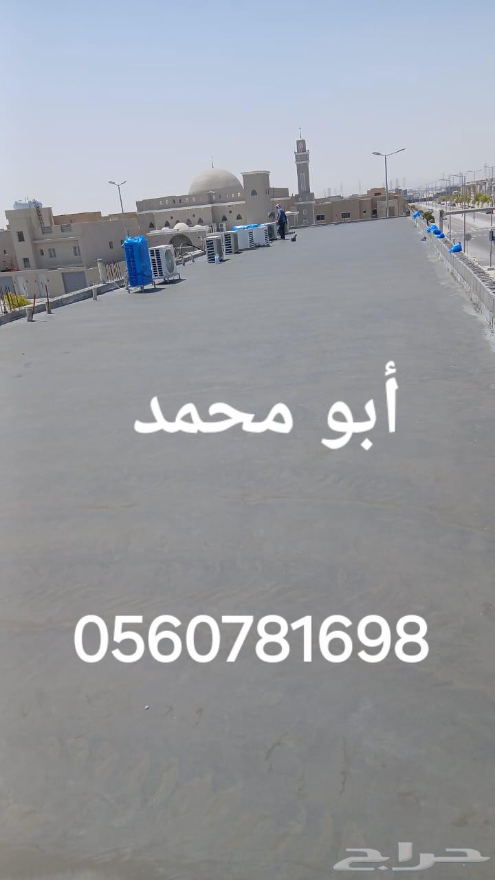 Girl with mawl and fan for floor surfaces64175014739073112