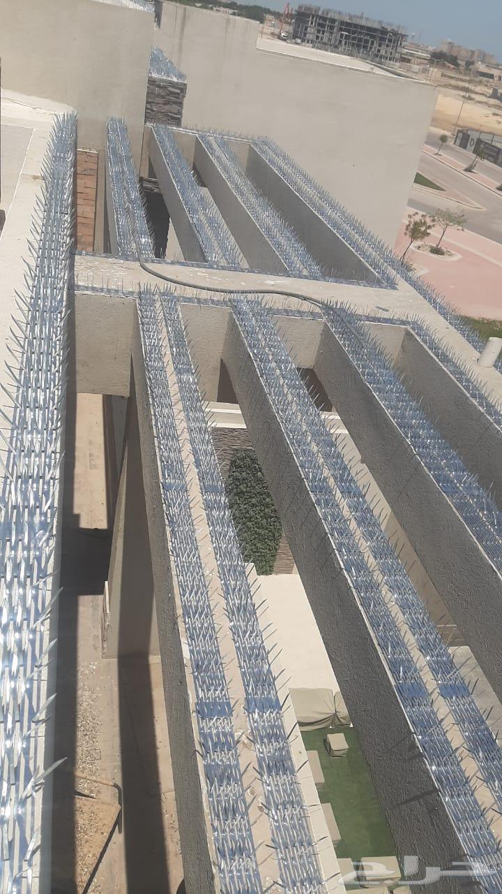 شركه تركيب اشواك طارد الحمام بالمنطقة الشرقية64175972757763111