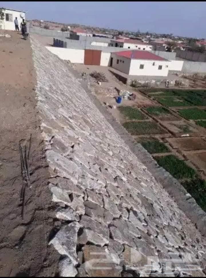 معلم حجر أبو المعلمين64215496805890111