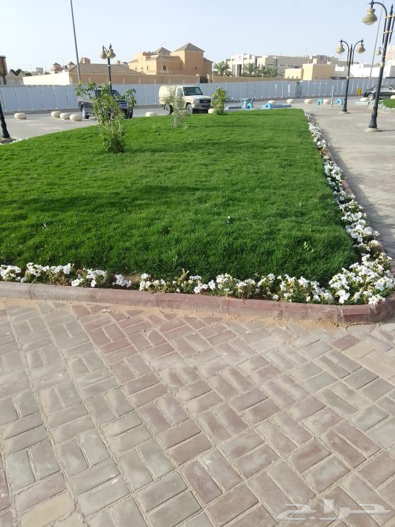 مشتل زراعي الرياض حي الملقا طريق الملك سلمان64176373412098111