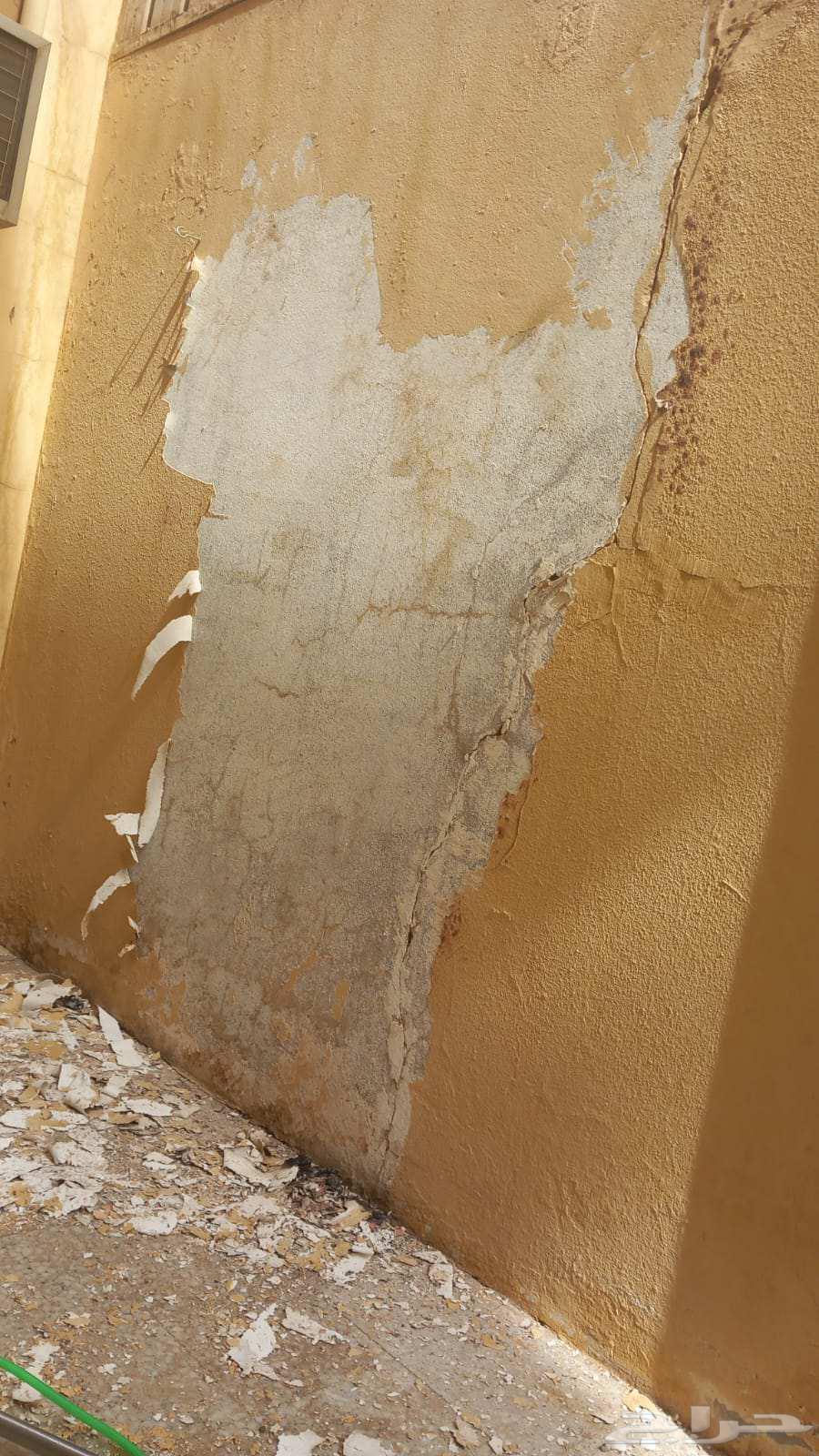 تحريق بويا64176585998850110