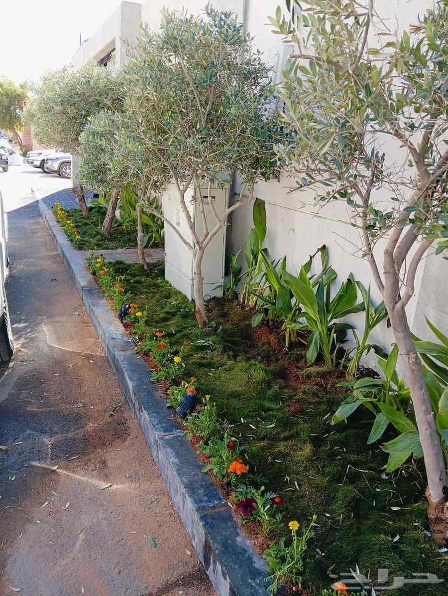 مشتل زراعي الرياض حي الملقا طريق الملك سلمان64176373412098110