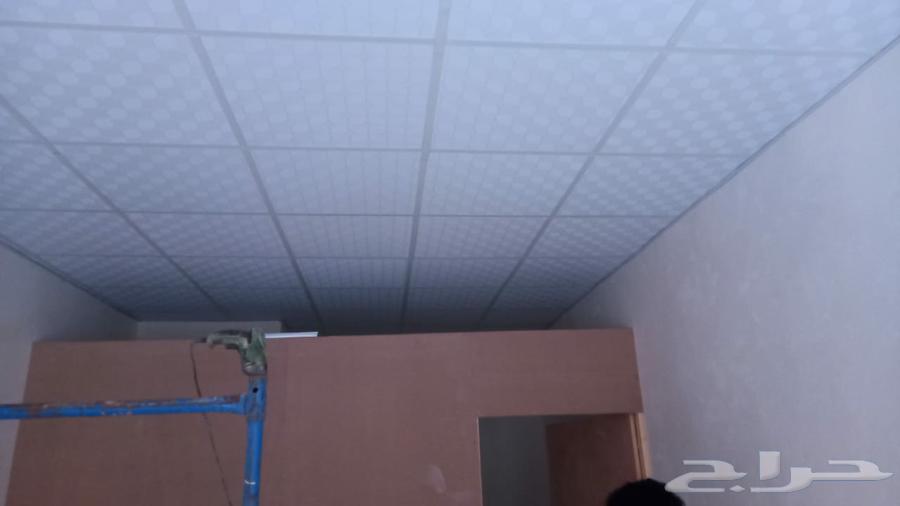 معلم جبس امبورد64178000326273113