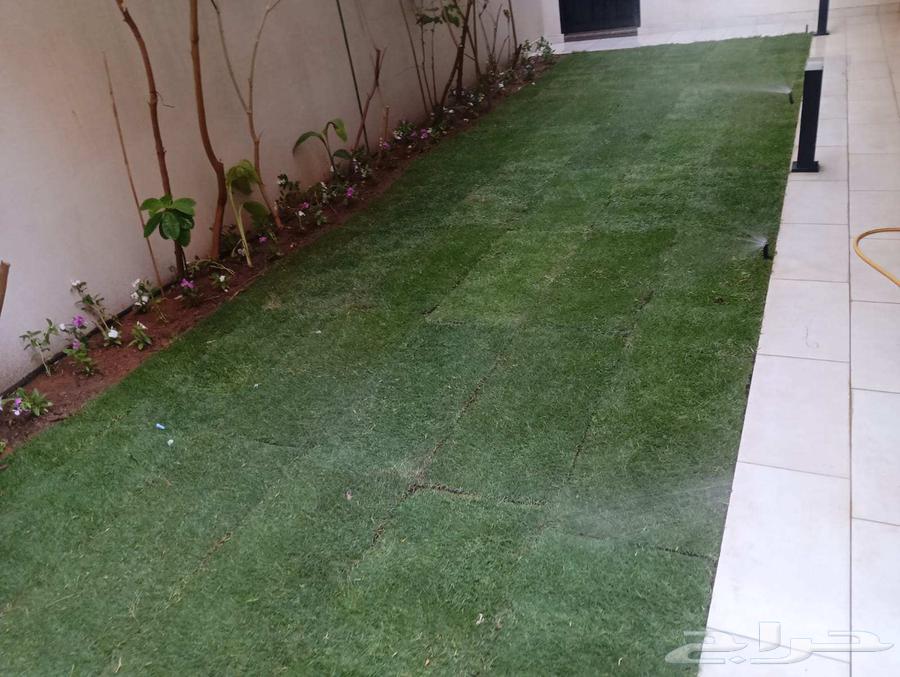 مشتل زراعي الرياض حي الملقا طريق الملك سلمان64177998294787110