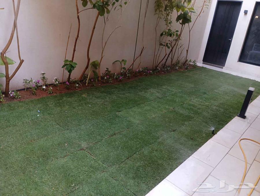 مشتل زراعي الرياض حي الملقا طريق الملك سلمان64177998294787111