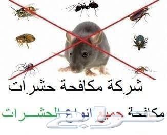 شركة تنظيف بالرياض غسيل مجالس فرشات رش مبيدات64178203413378113