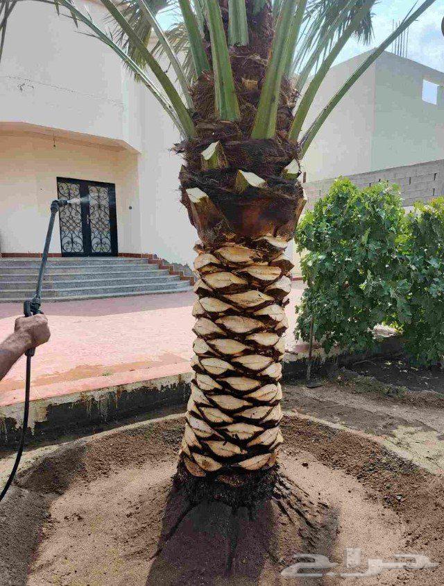 Landscape Design64177569694465110