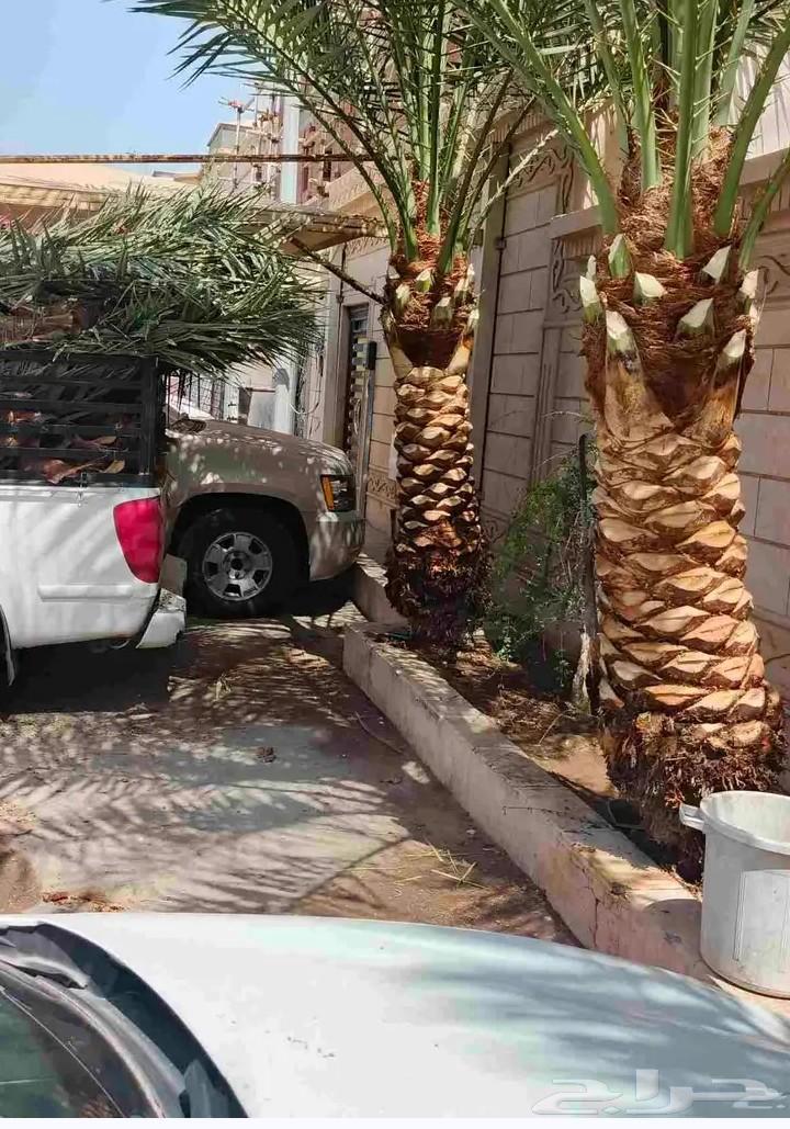 Landscape Design64177569694465111