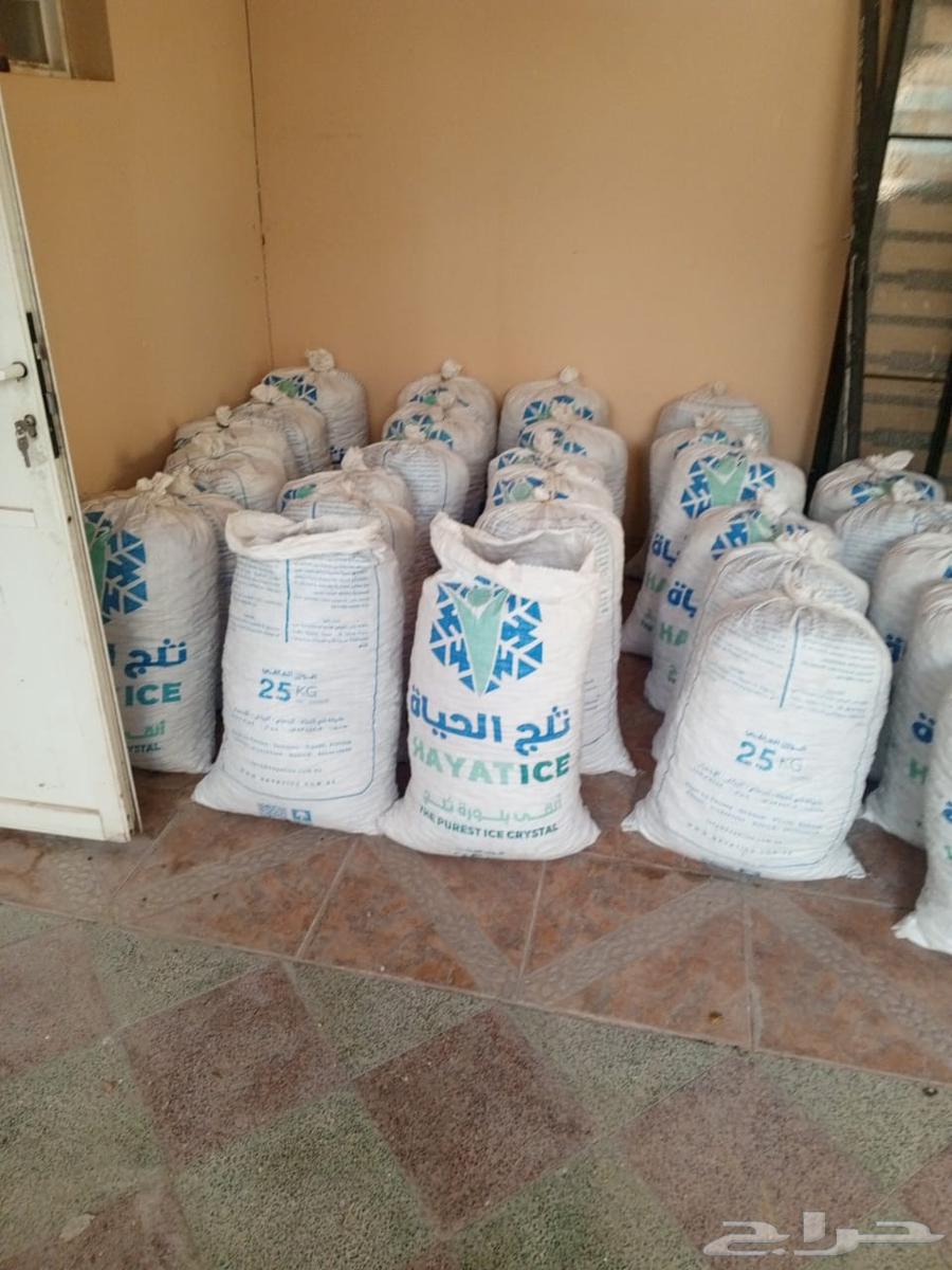 اكياس تمر علف للدبش64587132698499111