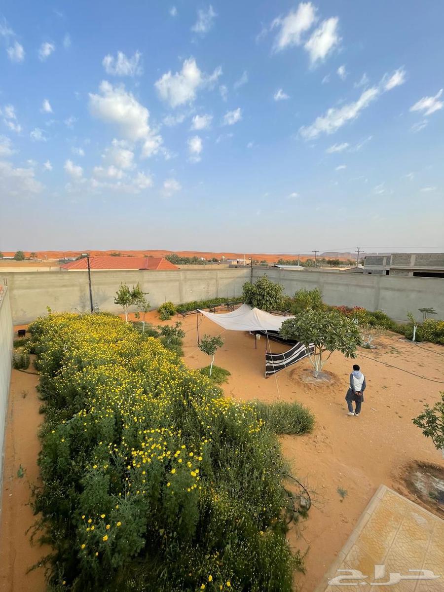 مزرعة للبيع