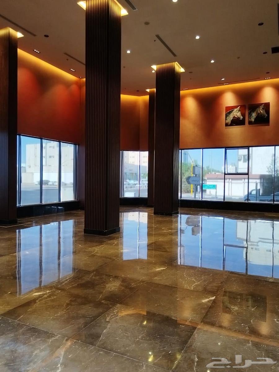 جلي بلاط64177778693635114