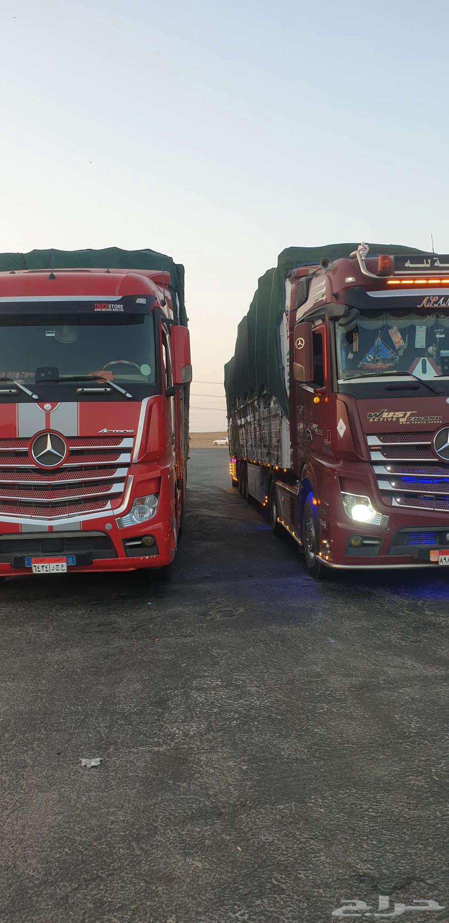 شحن دولي لجميع محافظات مصر64178202340737110