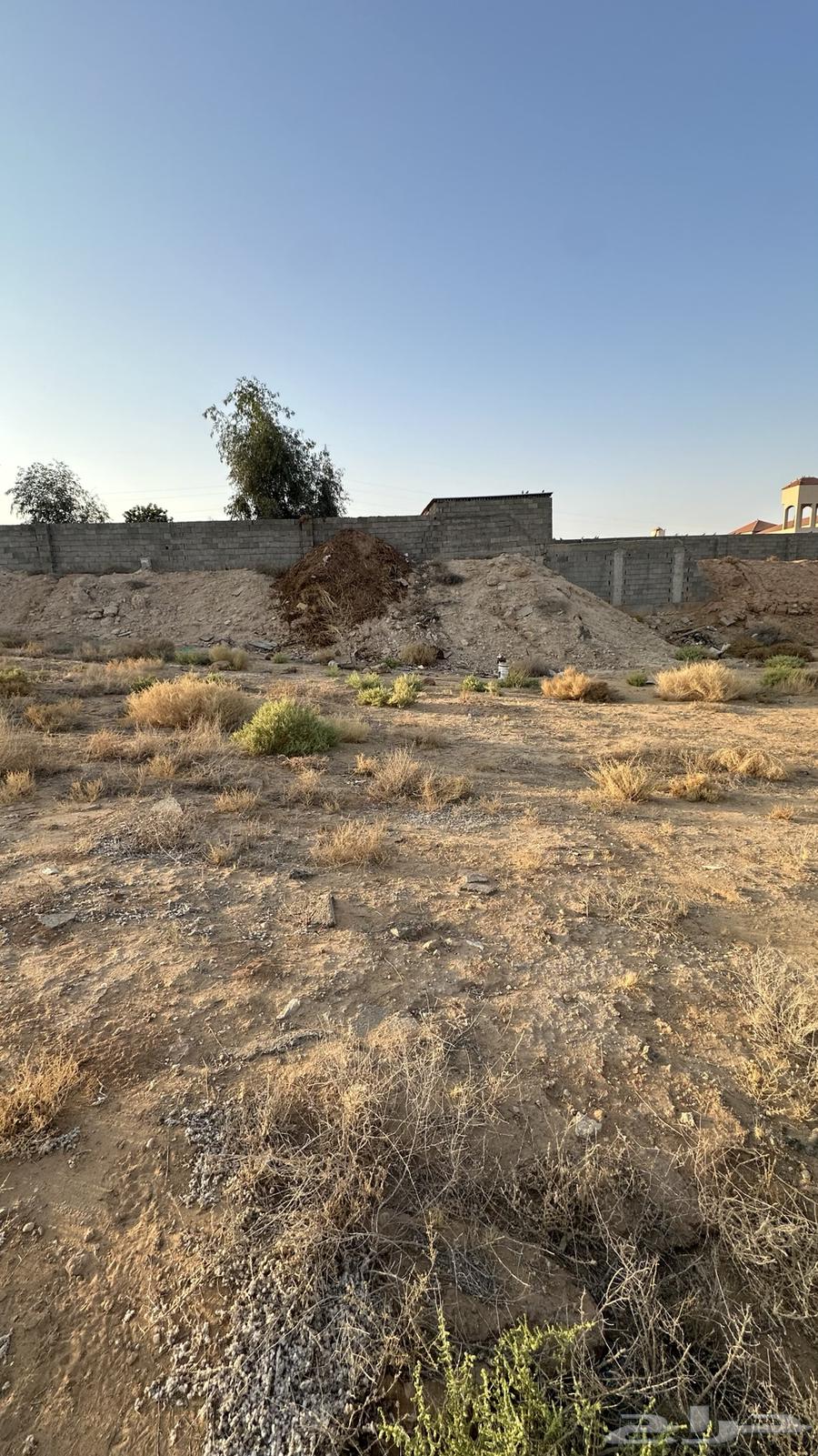 ارض للبيع بحي الشقة بمخطط المنصورة بمساحة ( 300 )64263972907267110