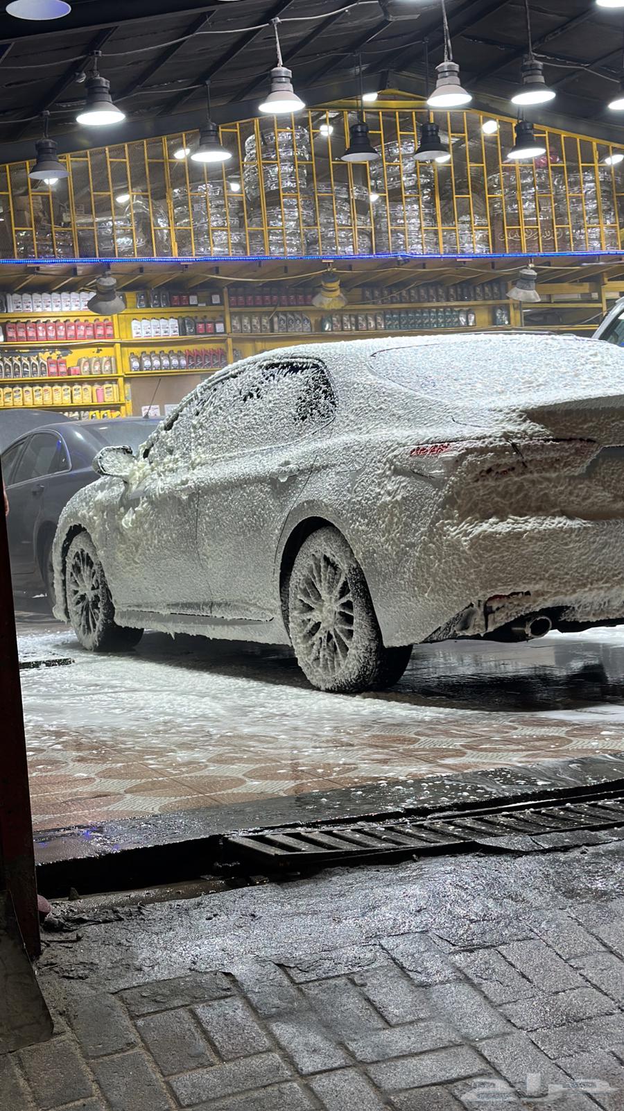 كداد ماشي اليوم من المدينة الي الرياض64263981662337112