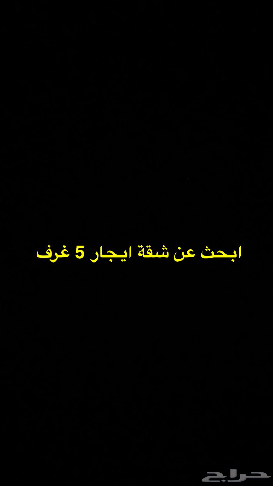 ابحث عن شقة ايجار 5 غرف64254311597315110