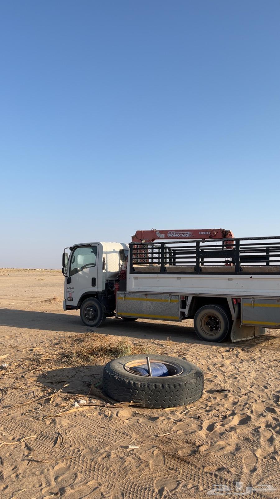 دنا لنقل الابل64264870377729110