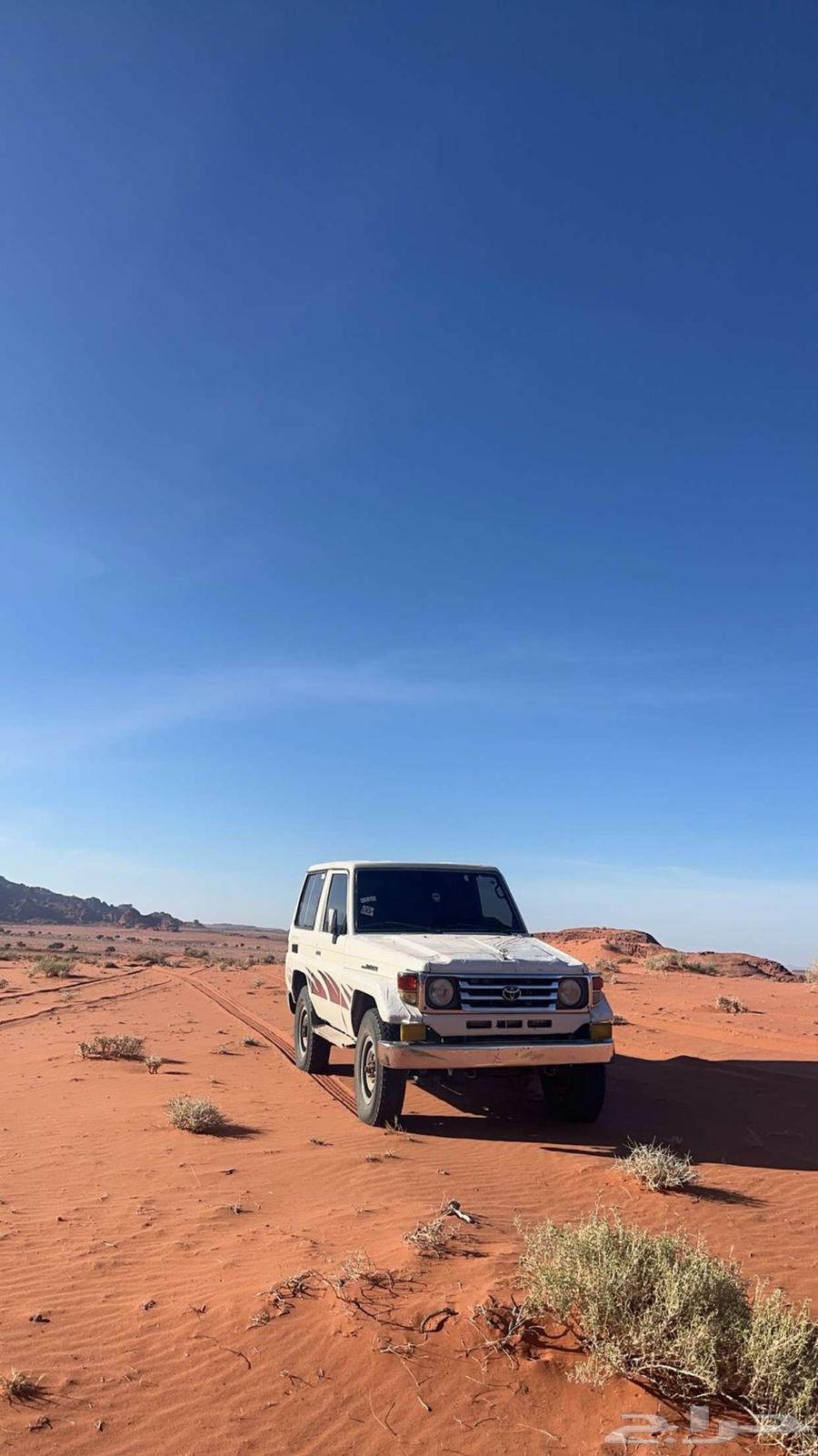 مطلوب جيب ربع مخبط او مقلوب64264683917441110