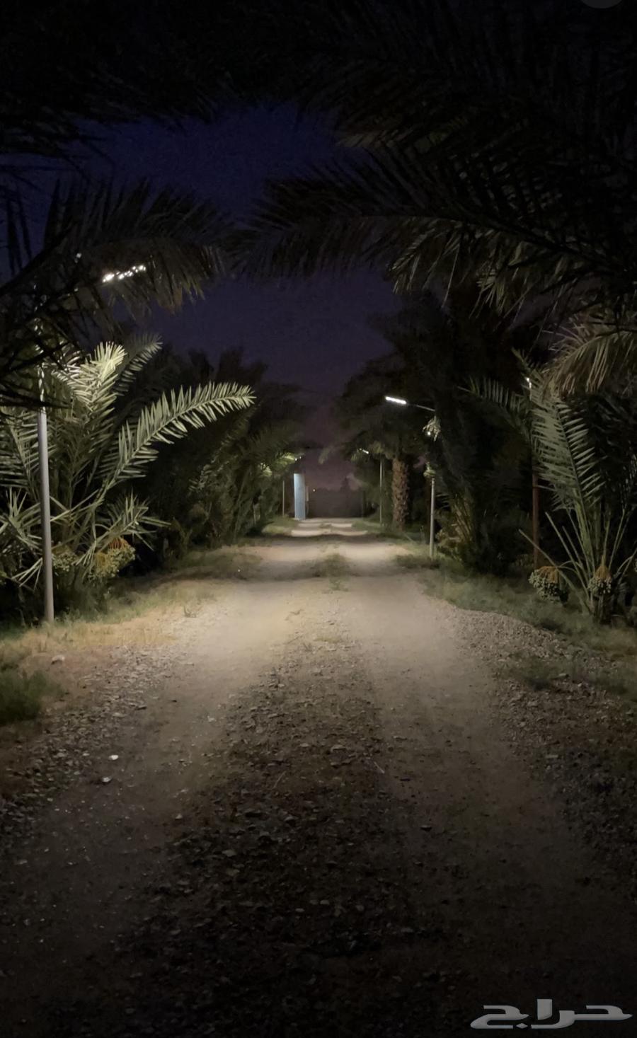 منتجع للايجار الشهري والسنوي64263785192834114