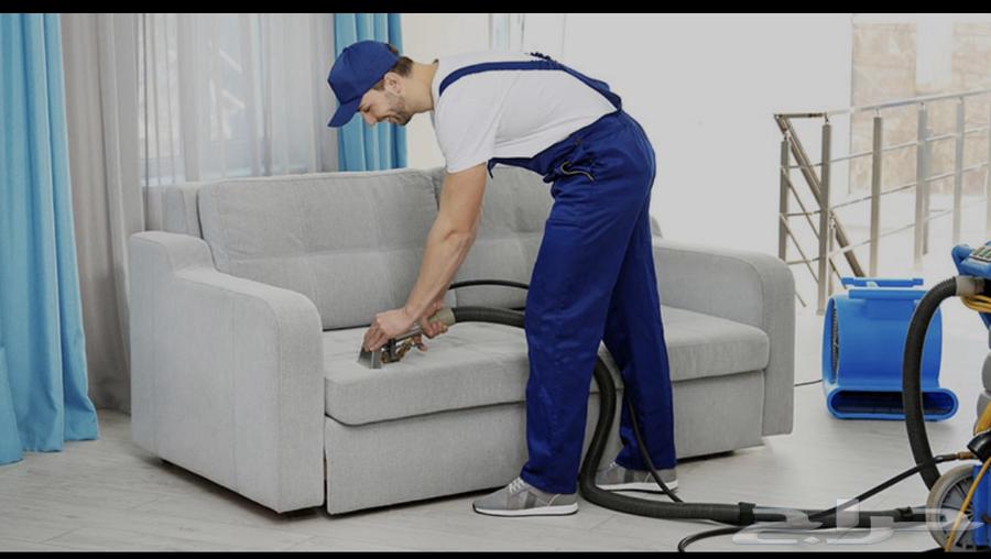 Sofa, carpet, and insect control cleaning64259897410563111