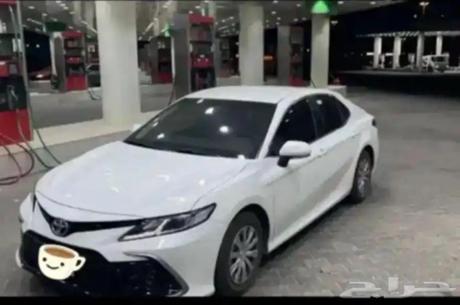 ماشي اليوم من الرياض إلى المدينة64263794521345110