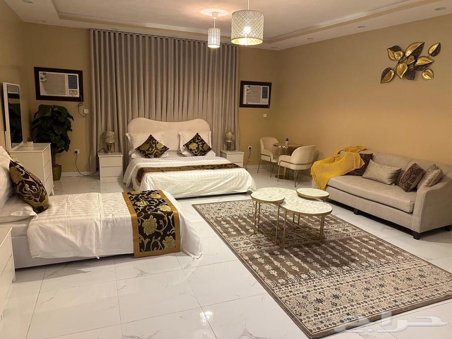 Daily Studio64259889838338114