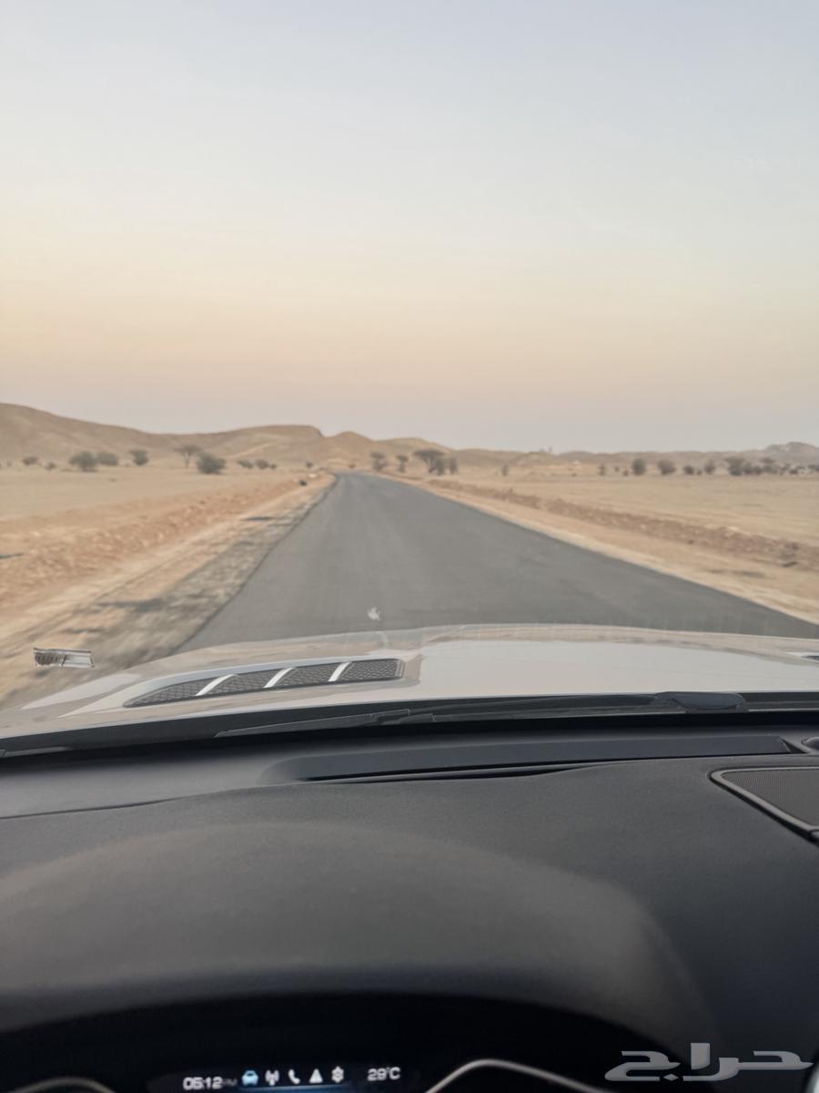 Rural rest house with sheep and bird pens, area over 7 thousand64263973571075110