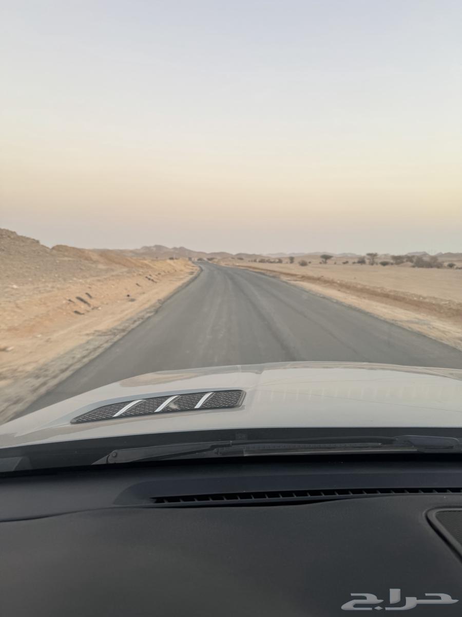 Rural rest house with sheep and bird pens, area over 7 thousand64263973571075112