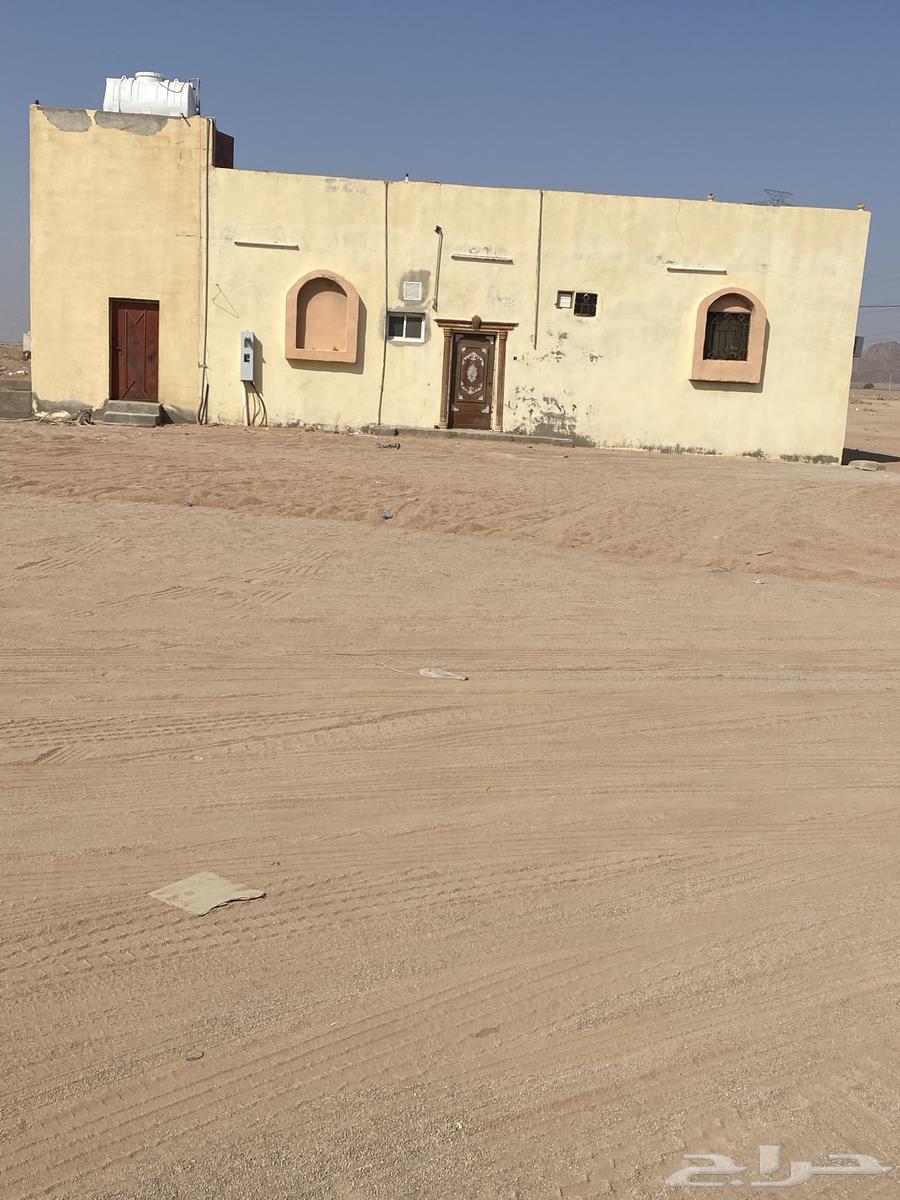 بيت ل الايجار كبري الهميج ب الرفائع64259889856001110