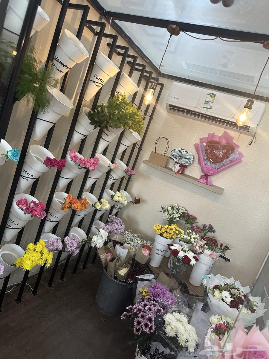 محل ورد لتقبيل64263786642177111