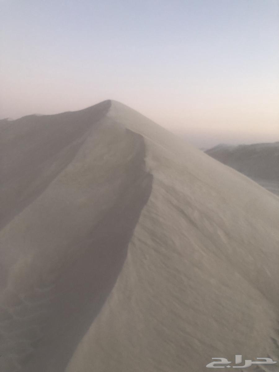 Raml Taima64255128666883113