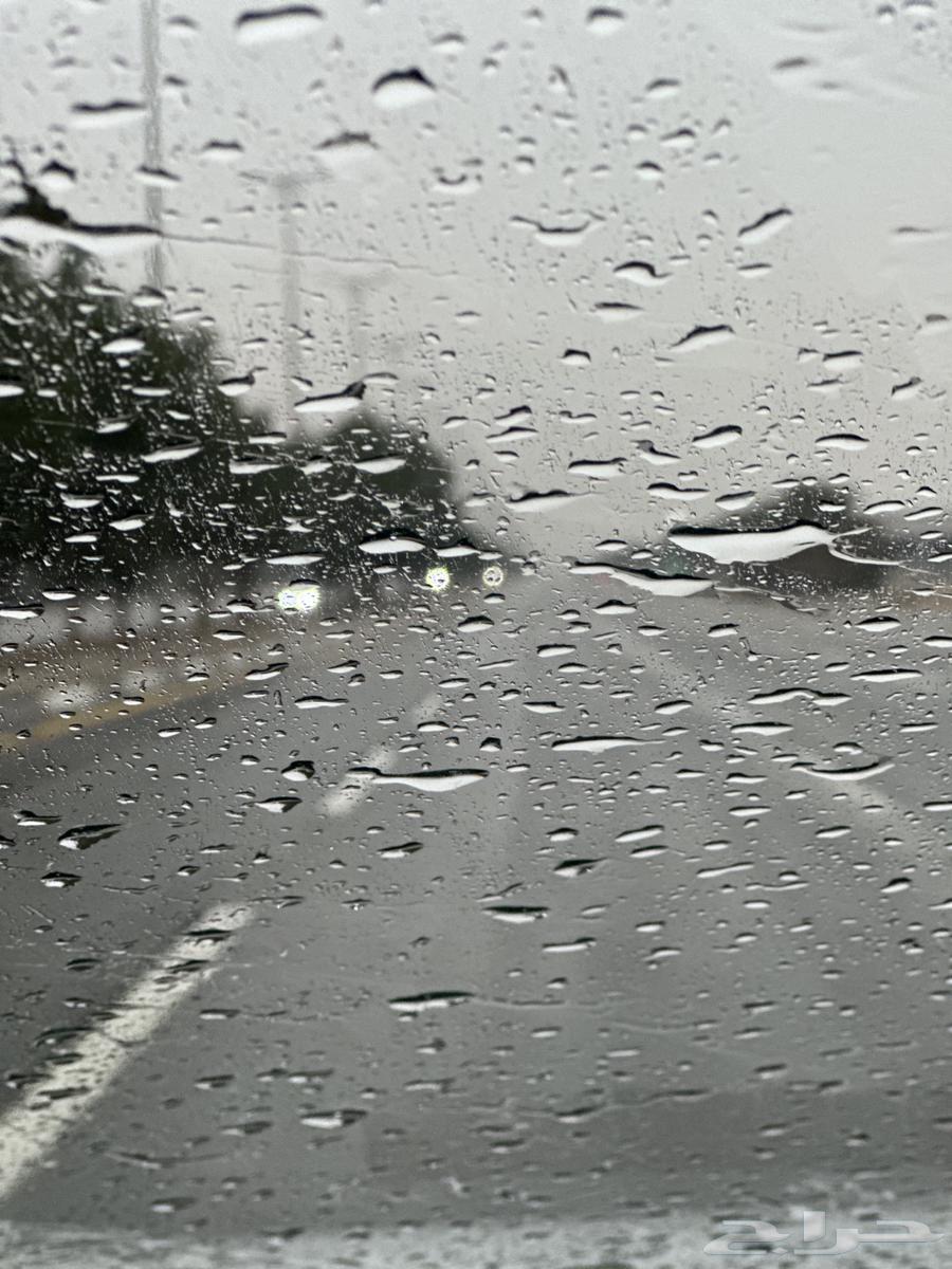 كداد ماشي اليوم من المدينة الي الرياض64263981662337113