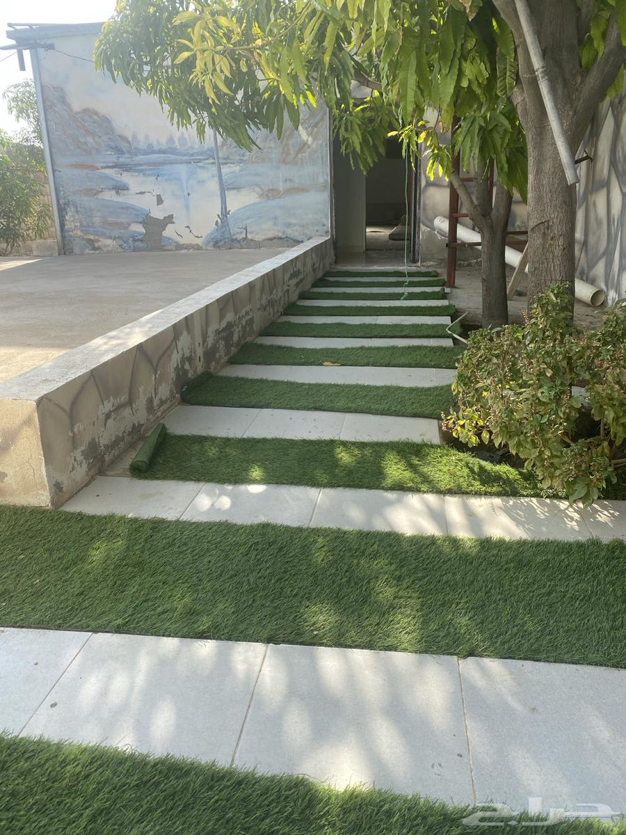 Mecca Numman64263787563907112