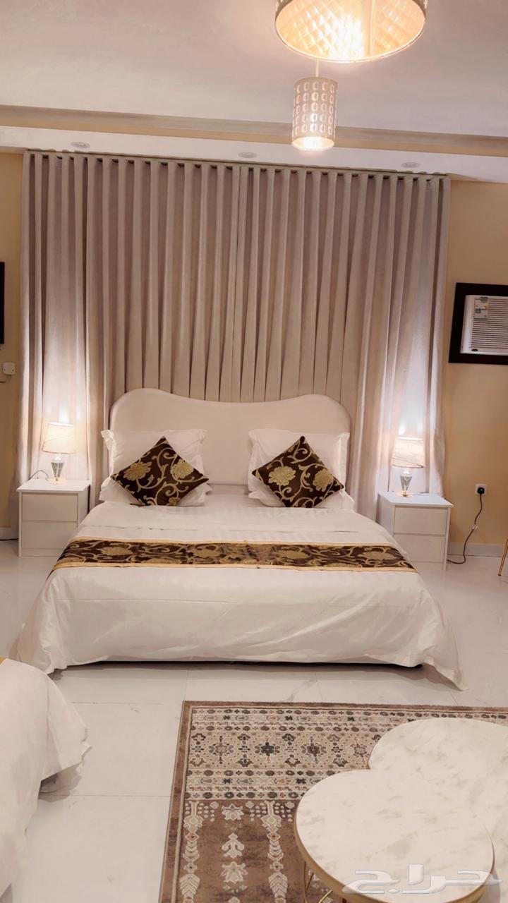 Daily Studio64259889838338112