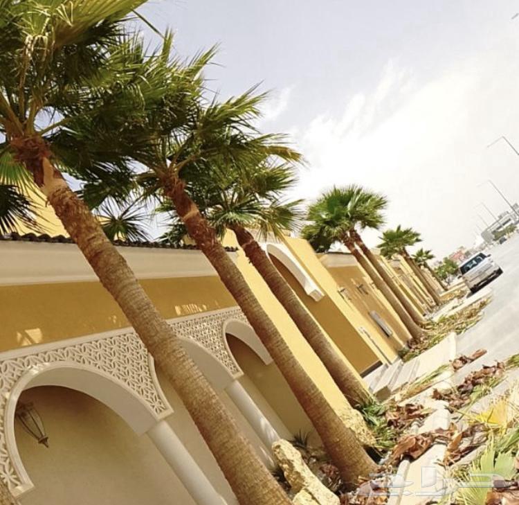 تكريب واشنطني الزينه64264365933698111