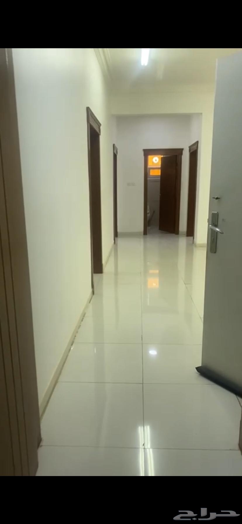 شقة للإيجار