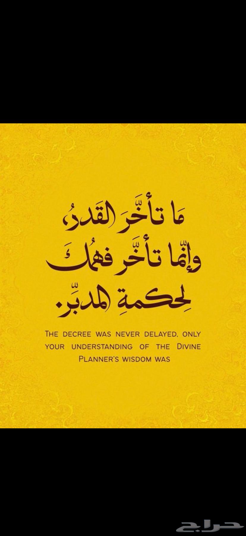 مندوب توصيل شهري ب التوقيت64259718374273110