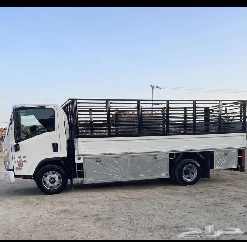 دينا دينه خميس مشيط دنه ابها64263981677953112