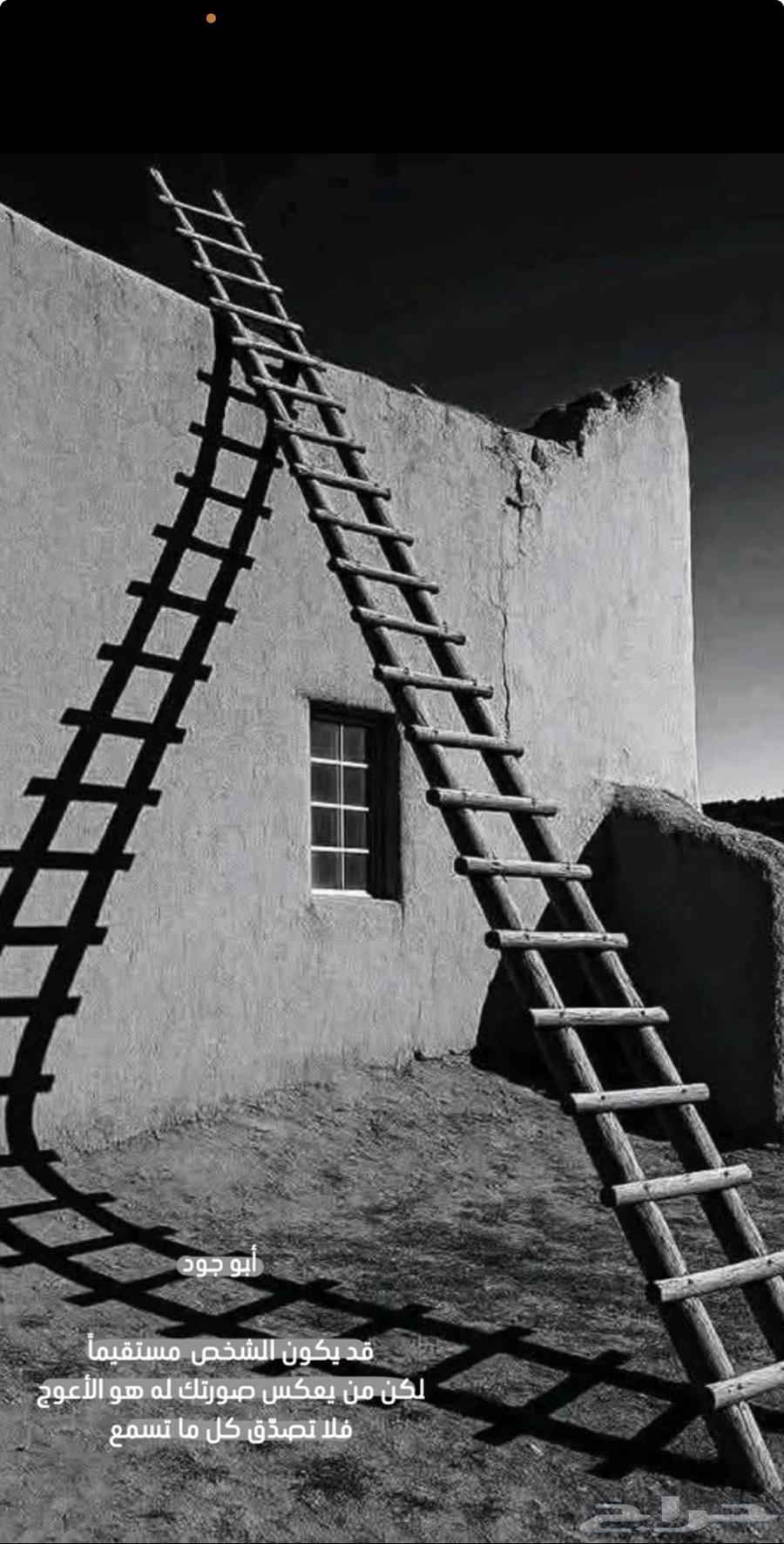 مطلوب شقة اجار شهري64259890280579110