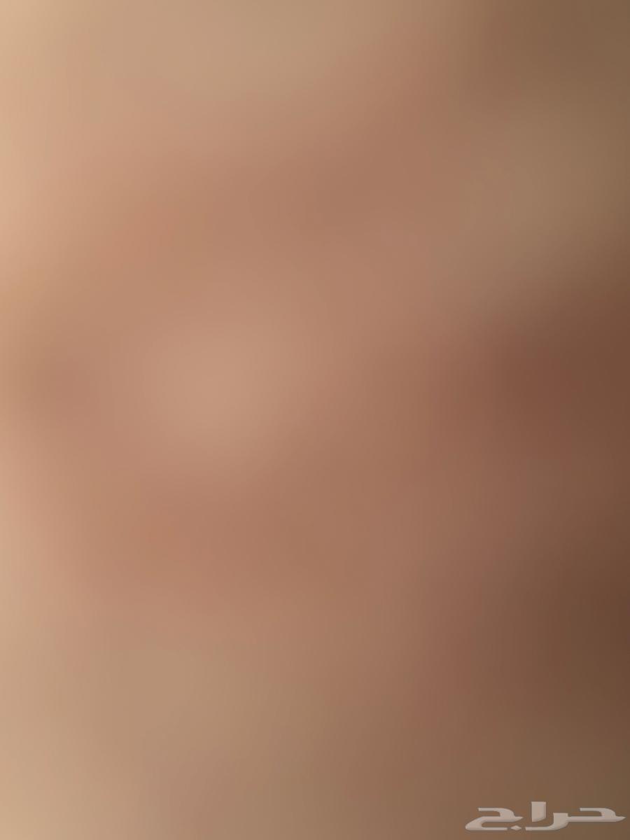 شقه للايجار جديده حي المحمديه او الواحه64270277704449110