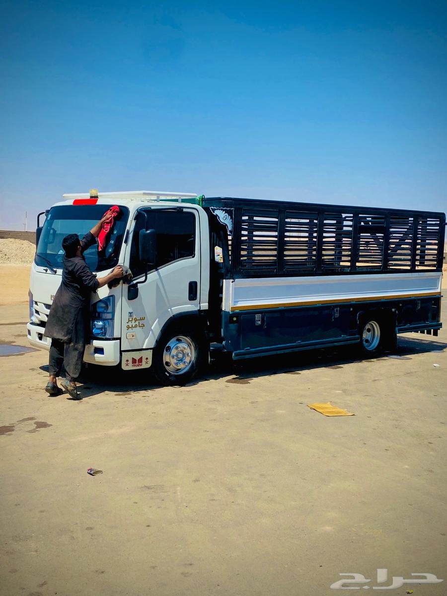 الاتجاه من آلمدينه إلى حايل64274659885058110