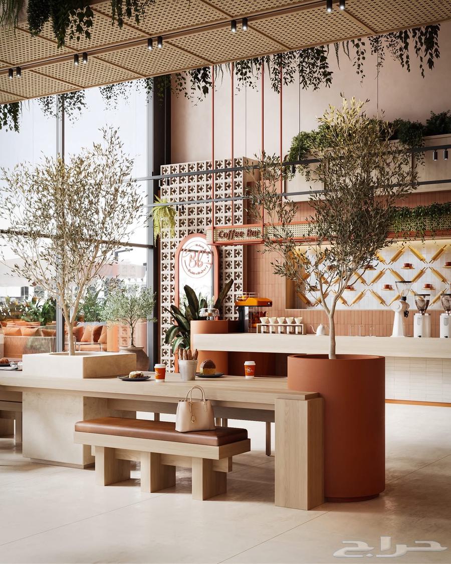 تصميم وتنفيذ ديكور داخلي وخارجي64273585005569114