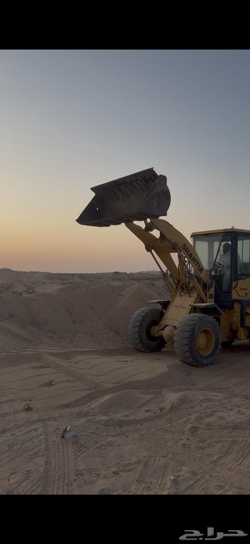 شيول صيني64616382158339112