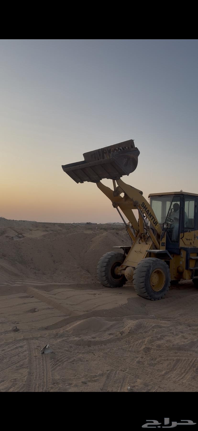 شيول صيني64616382158339113